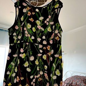 Victoria Beckon Spring flower dress perfect for all occasions.